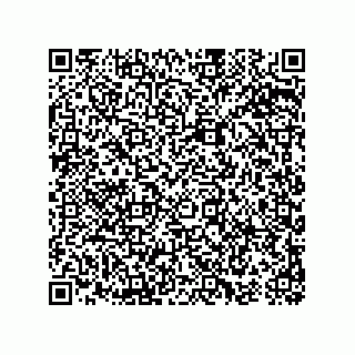 vCard 74963168385