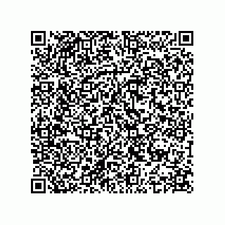 vCard 74963168400