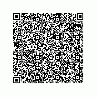 vCard 74963168580