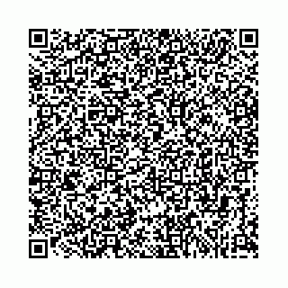 vCard 74963403500