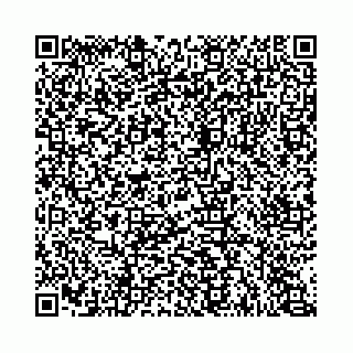 vCard 74963403507