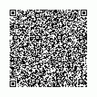 vCard 74963403521