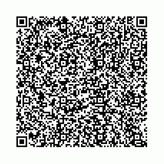 vCard 74963403530