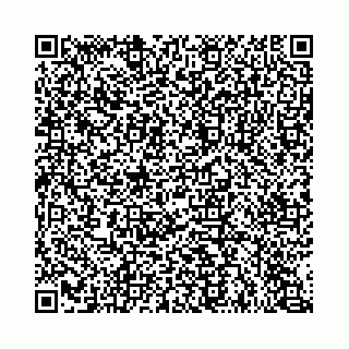 vCard 74963403545
