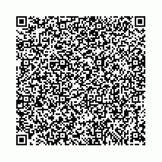 vCard 74963403663