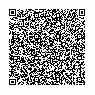 vCard 74963403726
