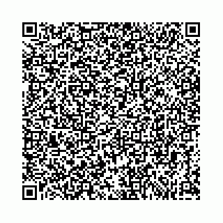 vCard 74963403727