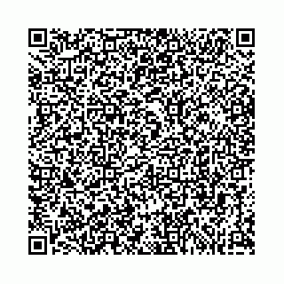 vCard 74963403741