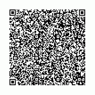 vCard 74963403748