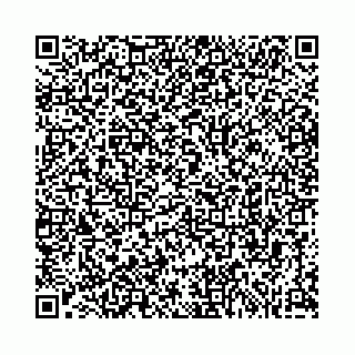 vCard 74963403750
