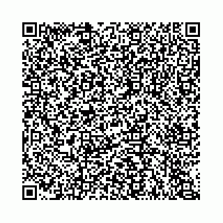 vCard 74963403754