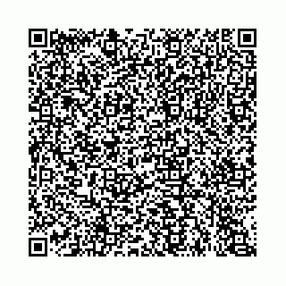 vCard 74963403759