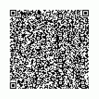 vCard 74963403765