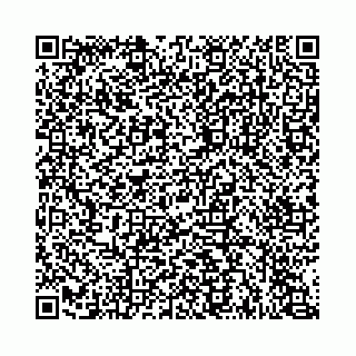 vCard 74963403767