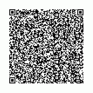 vCard 74963403768
