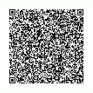 vCard 74963403773