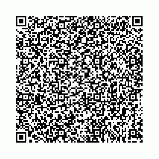 vCard 74963403775