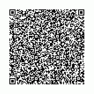 vCard 74963403781