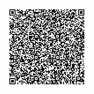 vCard 74963403790