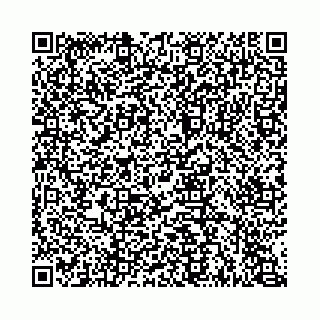 vCard 74963403796