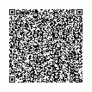 vCard 74963403799