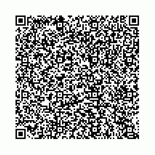 vCard 74963403801