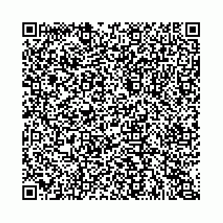 vCard 74963403803