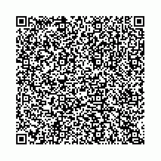 vCard 74963403820
