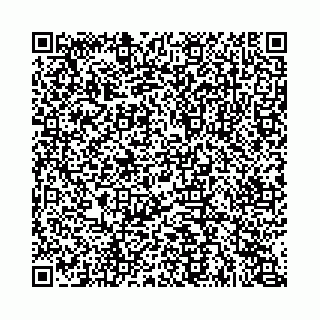 vCard 74963403823