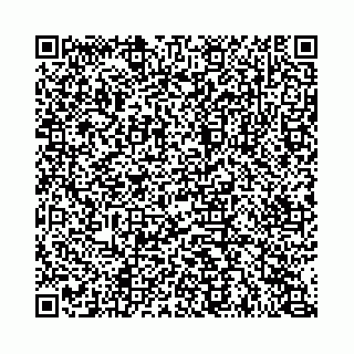 vCard 74963403835