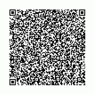 vCard 74963403840