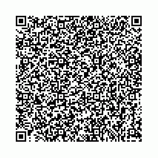 vCard 74963403862