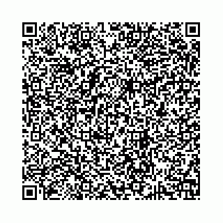 vCard 74963403870