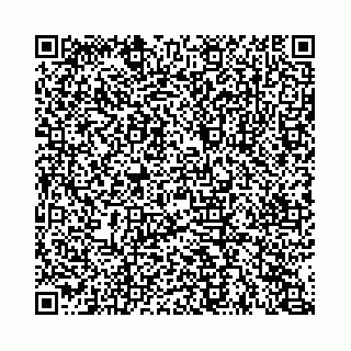 vCard 74963403878