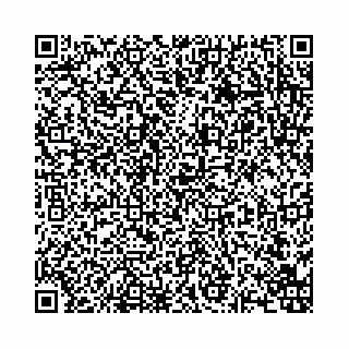 vCard 74963403889