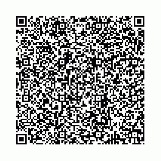 vCard 74963403893