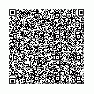 vCard 74963403895
