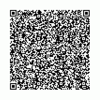 vCard 74963403899