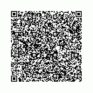 vCard 74963404838