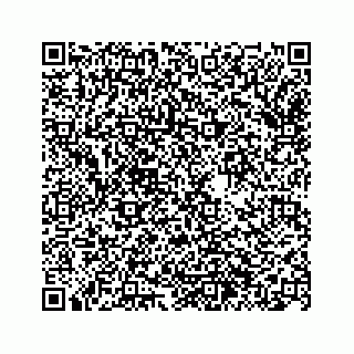 vCard 74963446113