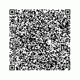 vCard 74963446127