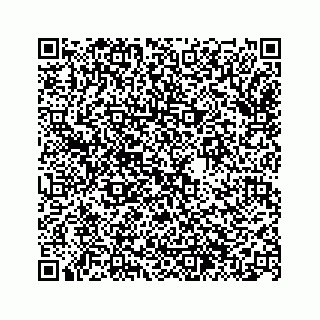 vCard 74963446131