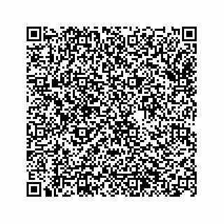 vCard 74963446133