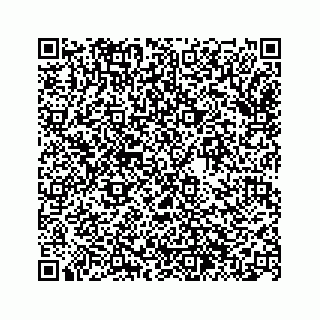 vCard 74963446153