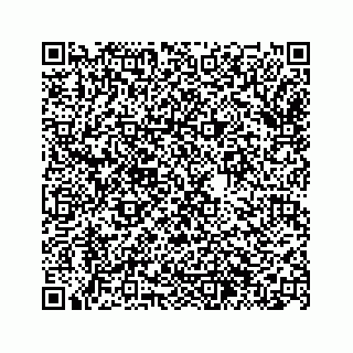 vCard 74963446171