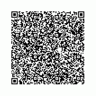 vCard 74963446173