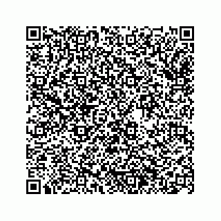 vCard 74963446211