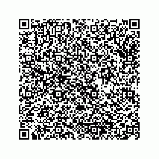 vCard 74963446217