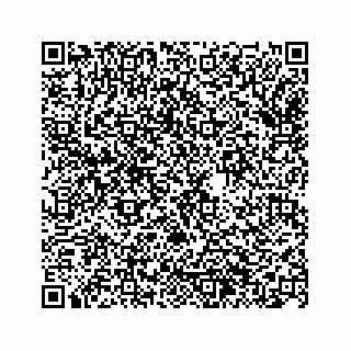 vCard 74963446235