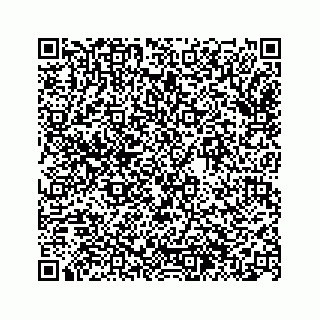 vCard 74963446284